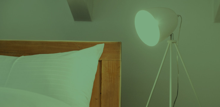 grünt so <b>grün</b>